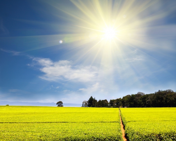 Лето без проблем