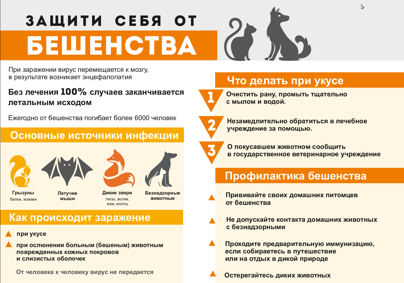 Всемирный день борьбы с бешенством