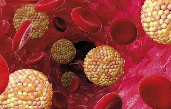 Холестерин, что необходимо знать