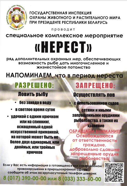 Специальное комплексное мероприятие "Нерест"