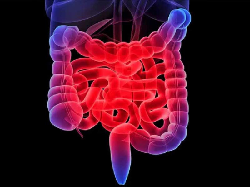 Приоритет профилактики!