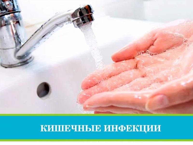 Профилактика кишечных инфекций