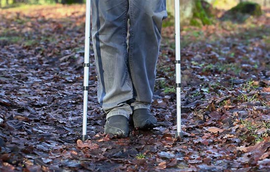 19 декабря – День профилактики травматизма