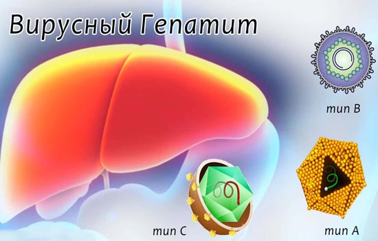 Вирусный гепатит